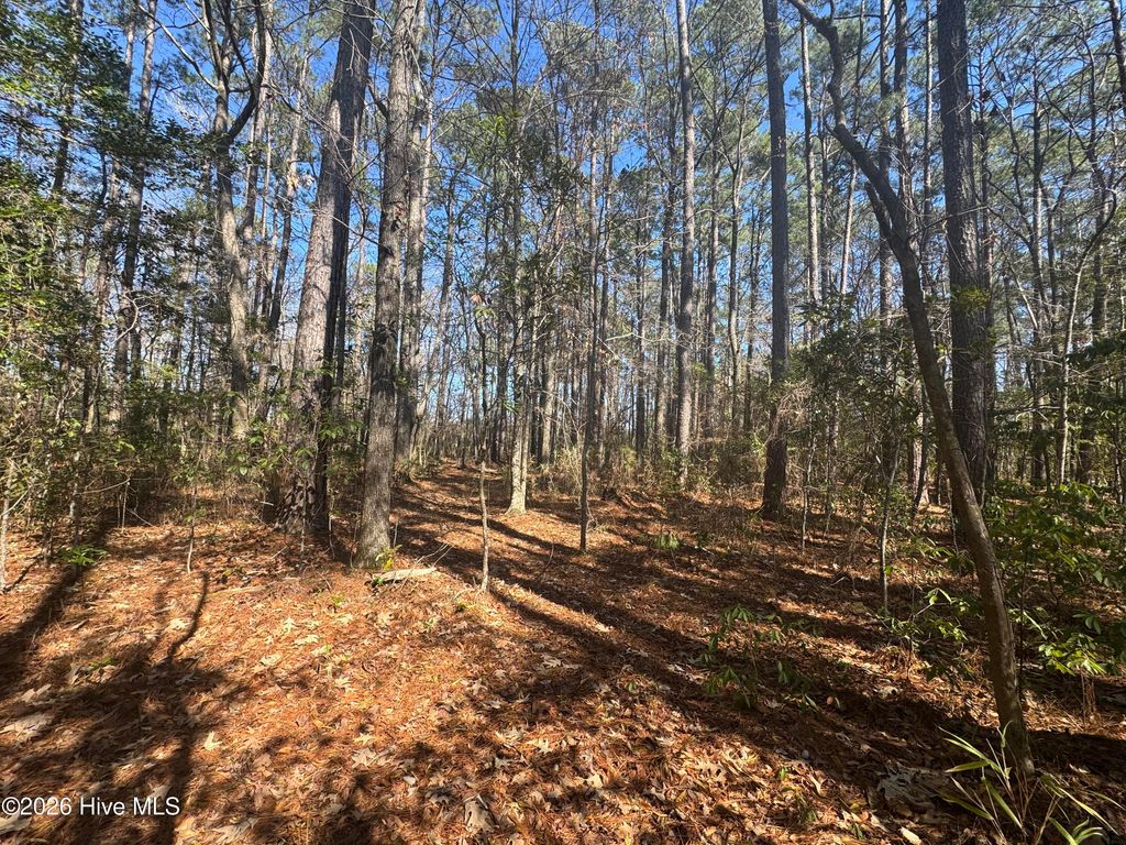 Photo of 4836 Merrimon Road, Beaufort, NC 28516 (MLS # 100556861)