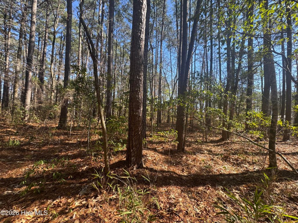 Photo of 4836 Merrimon Road, Beaufort, NC 28516 (MLS # 100556861)