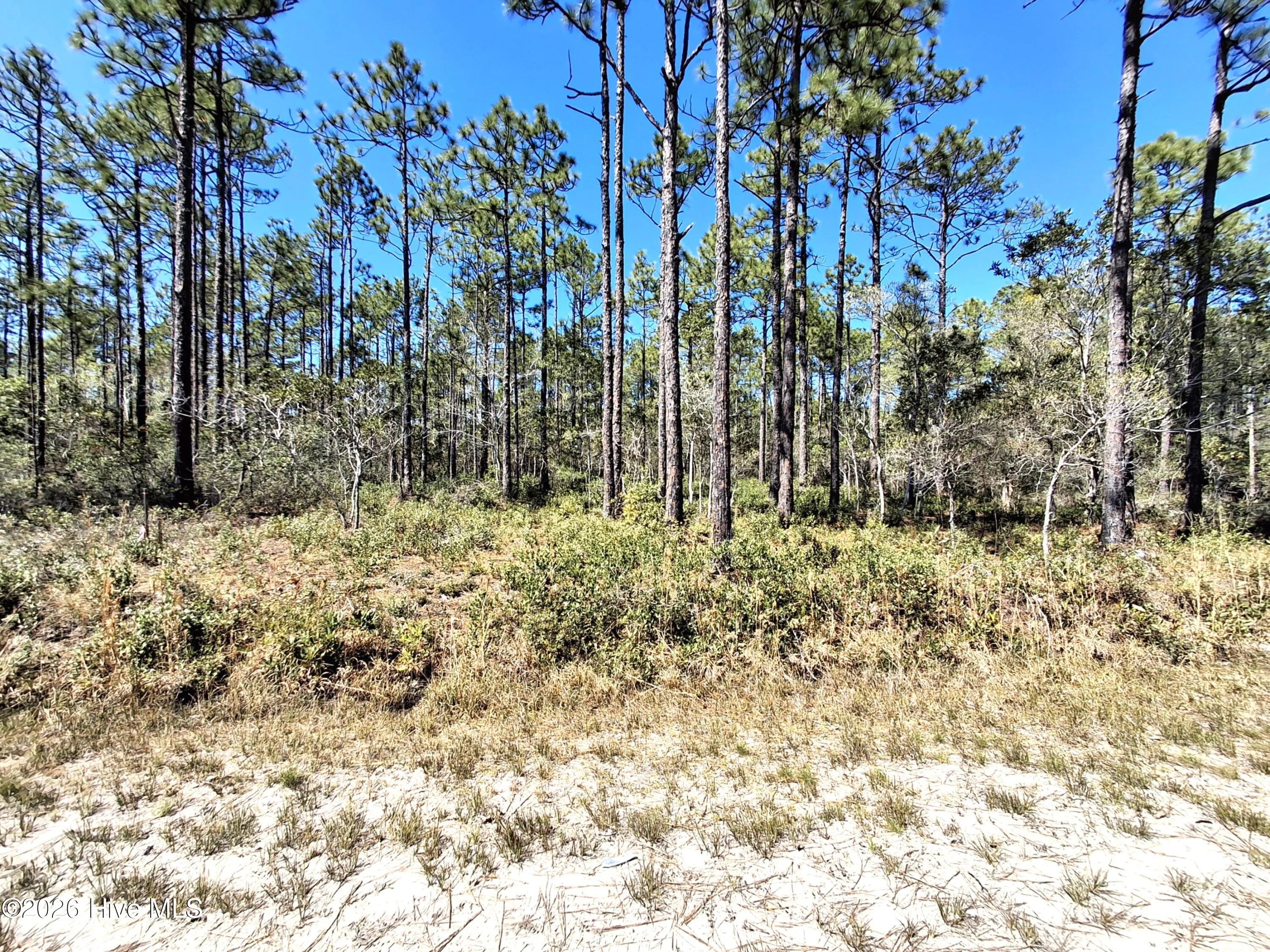 Lot 550 Crescent Road, Boiling Spring Lakes, NC, 28461