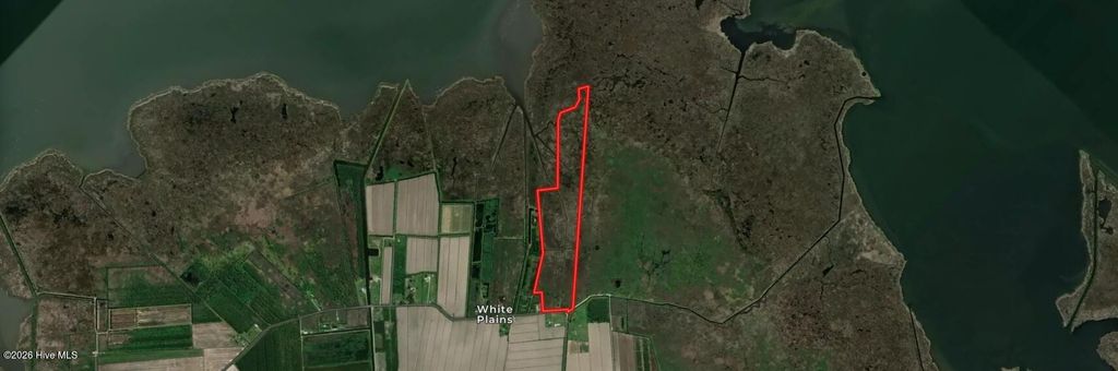 Photo of 0 White Plains Rd, Engelhard, NC 27824 (MLS # 100551735)