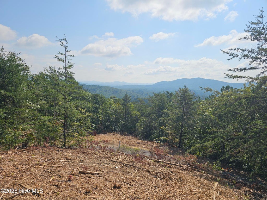 Photo of 156 Crossover Lane, Murphy, NC 28906 (MLS # 100604875)