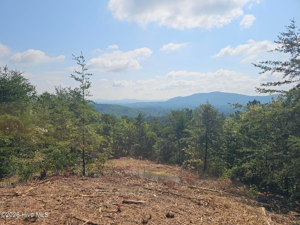 Photo of 156 Crossover Lane, Murphy, NC 28906 (MLS # 100604875)