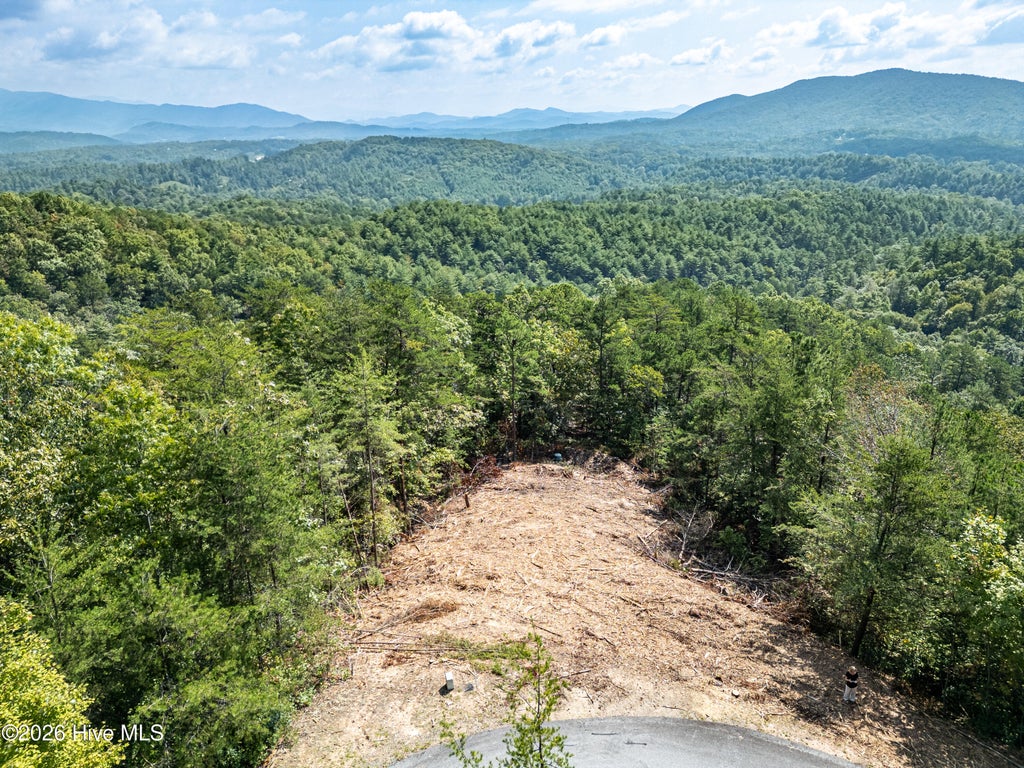 Photo of 156 Crossover Lane, Murphy, NC 28906 (MLS # 100604875)