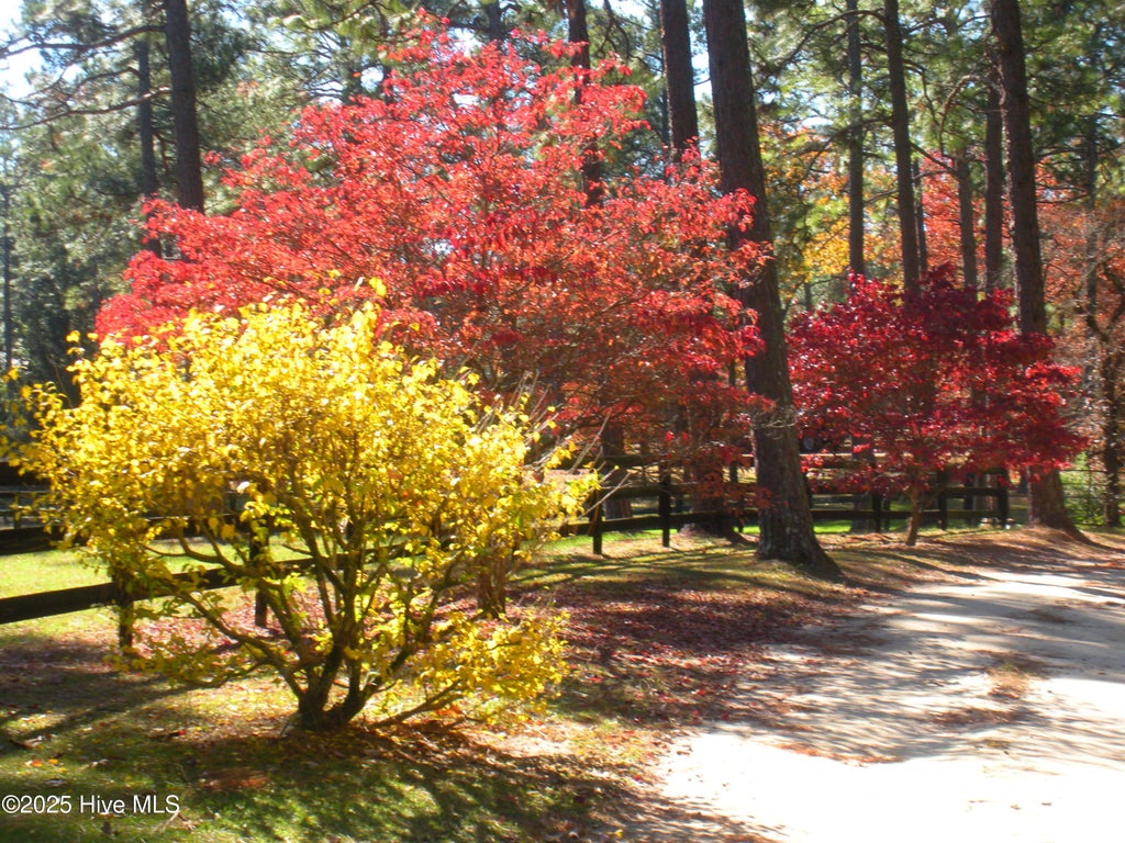 Photo of 292 Bump A Long Lane, Southern Pines, NC 28387 (MLS # 100601078)