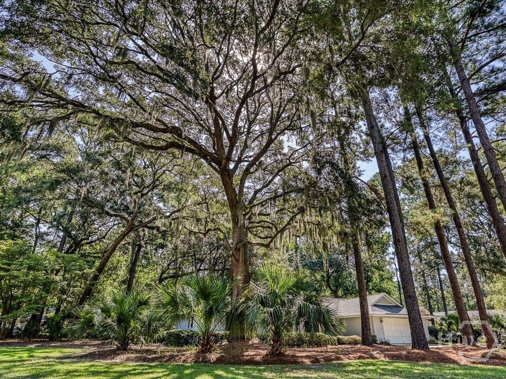 262 Wiley Bottom Road