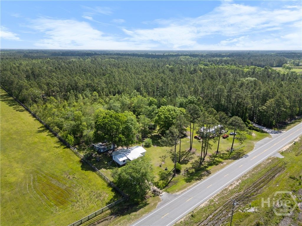 Photo of 7252 Cecil Nobles Highway, Ludowici, GA 31316 (MLS # SA348050)