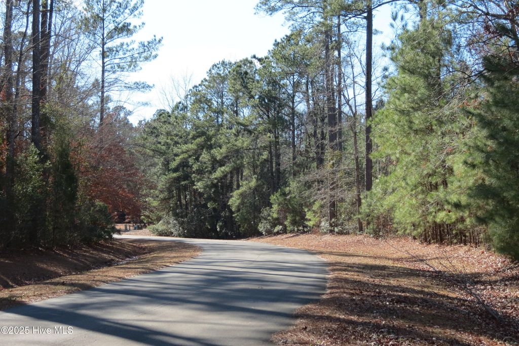 Photo of 109 Winding Creek Drive, Oriental, NC 28571 (MLS # 100486808)