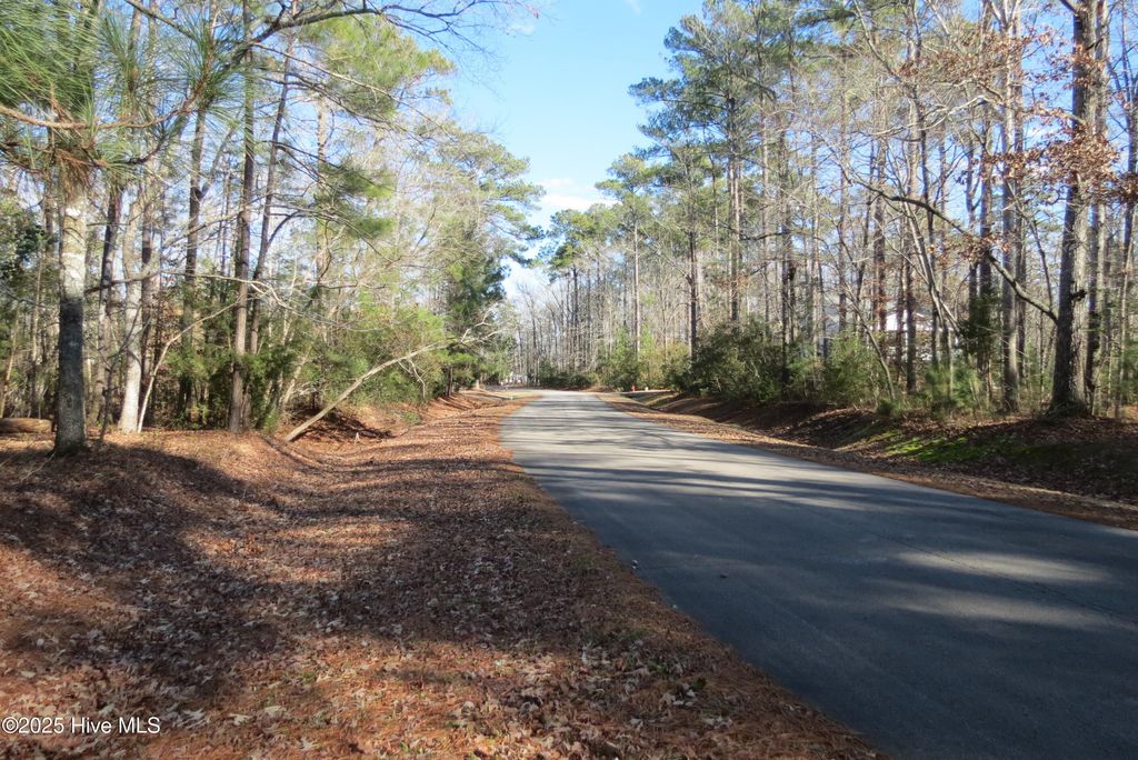 Photo of 109 Winding Creek Drive, Oriental, NC 28571 (MLS # 100486808)