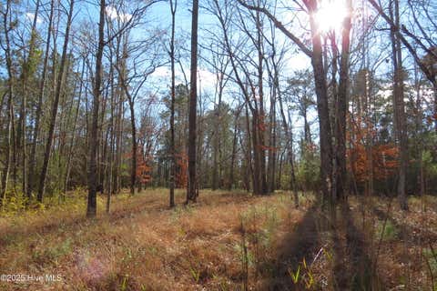 Vacant Land For Sale - 109 Winding Creek Drive<br/> Oriental, NC 28571
