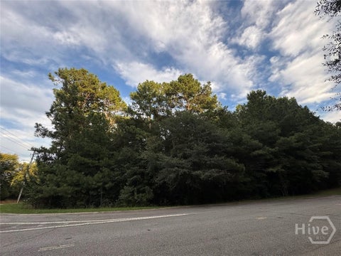 Vacant Land For Sale - 4820 Lexington Road<br/> Clarke County, Athens, GA 30605