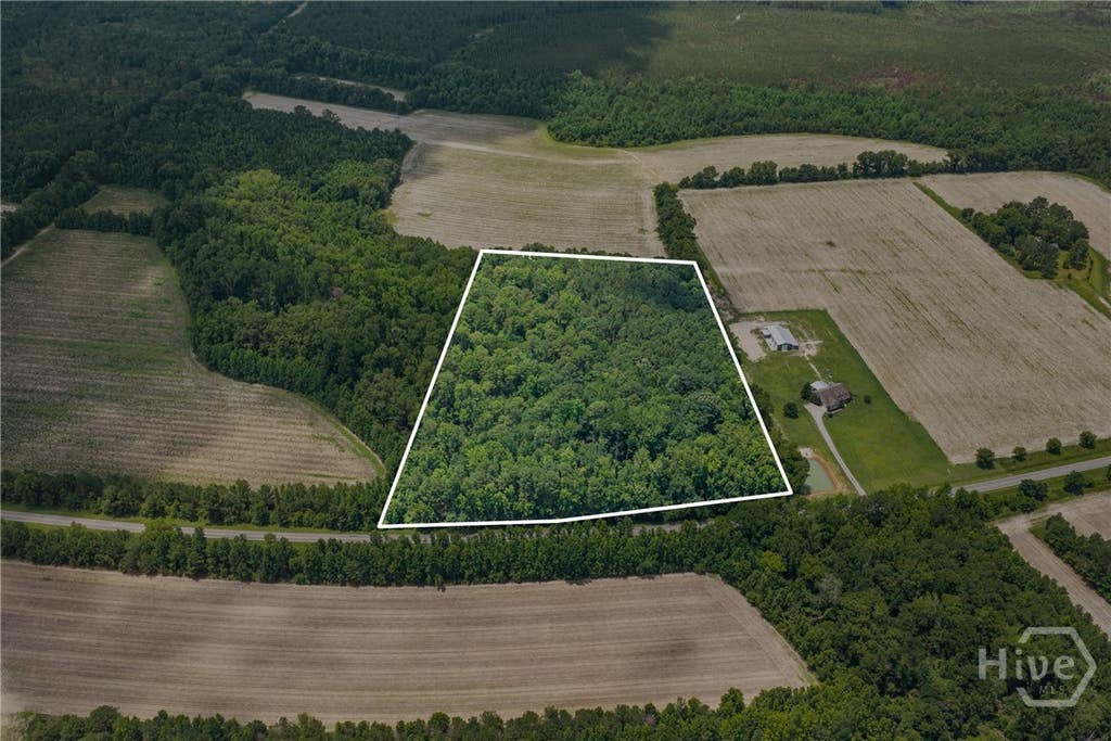 Photo of 0 N Old River Road, Statesboro, GA 30425 (MLS # SA361592)