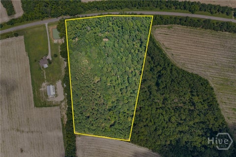 Vacant Land For Sale - N Old River Road<br/> Statesboro, GA 30425