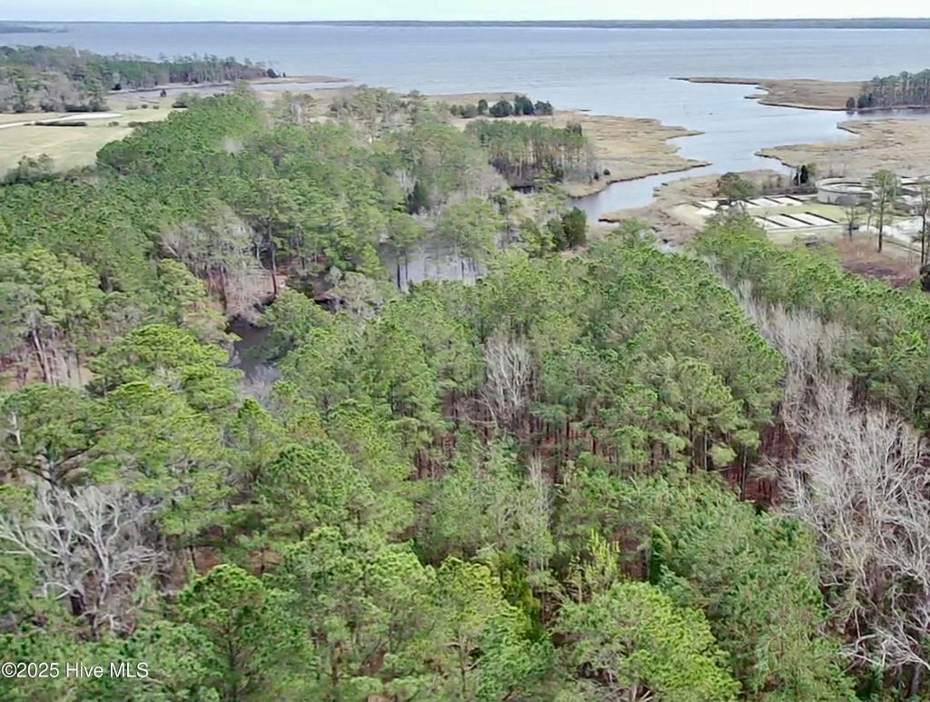 Photo of 0 Pamlico Street, Belhaven, NC 27810 (MLS # 100495750)