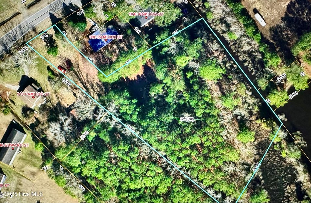 Photo of 0 Pamlico Street, Belhaven, NC 27810 (MLS # 100495750)