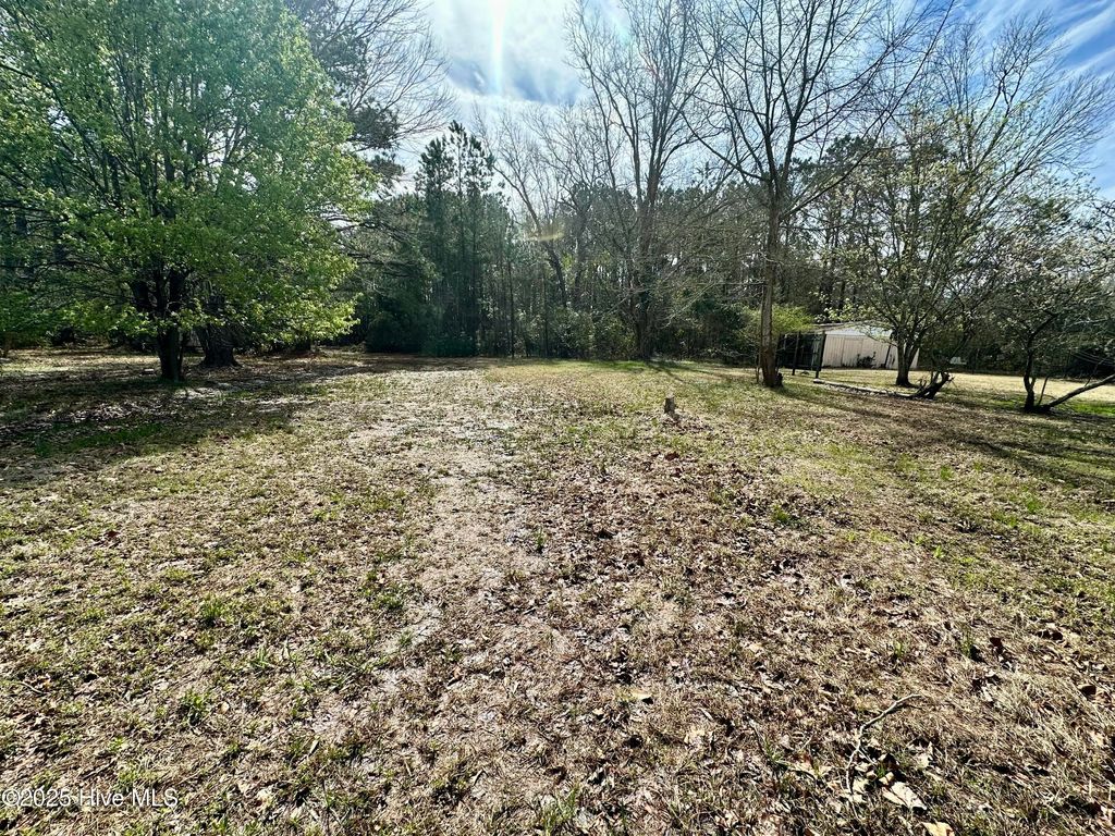Photo of 0 Pamlico Street, Belhaven, NC 27810 (MLS # 100495750)
