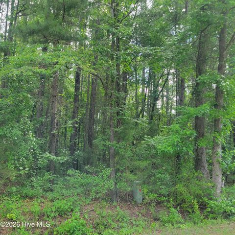 Tiny photo for 5 Porter Road, Currie, NC 28435 (MLS # 100576241)