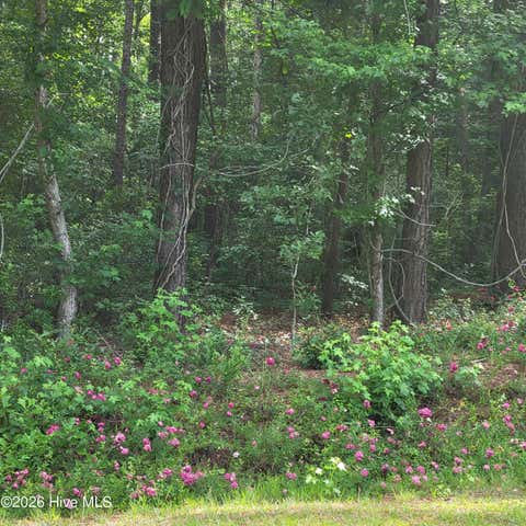 Vacant Land For Sale - LOT 5-A Porter Road<br/> Currie, NC 28435