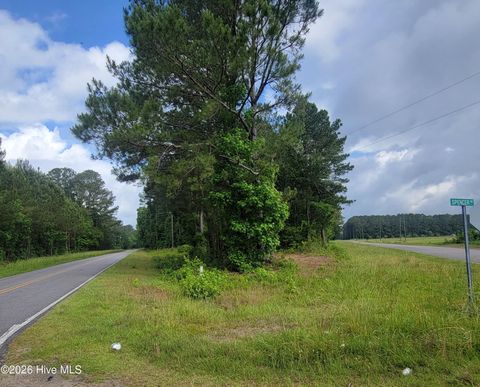 Tiny photo for 5 Porter Road, Currie, NC 28435 (MLS # 100576241)