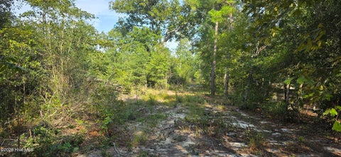 Vacant Land For Sale - 131 Spirit Lane<br/> Aiken, SC 29801