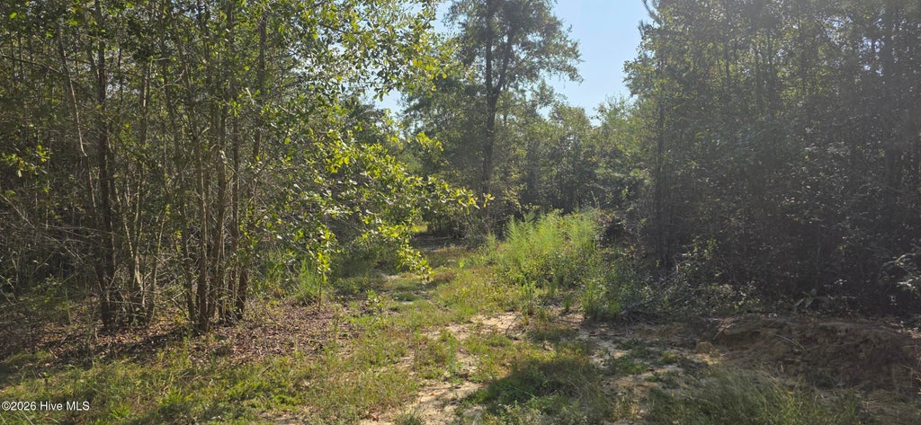 Photo of 131 Spirit Lane, Aiken, SC 29801 (MLS # 100604810)