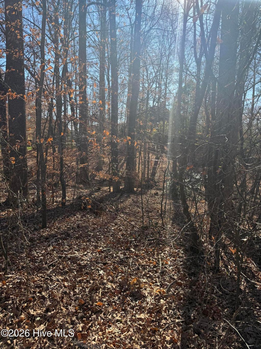 Photo of 3189 Abbey Road, Rocky Mount, NC 27804 (MLS # 100549712)