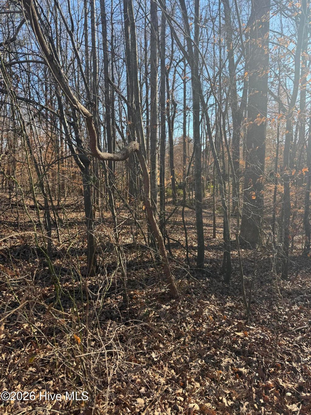 Photo of 3189 Abbey Road, Rocky Mount, NC 27804 (MLS # 100549712)