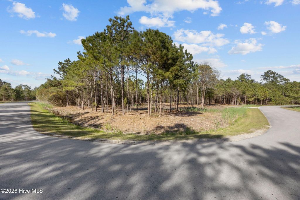 Photo of 699 Vandemere Creek Drive, Vandemere, NC 28587 (MLS # 100567397)