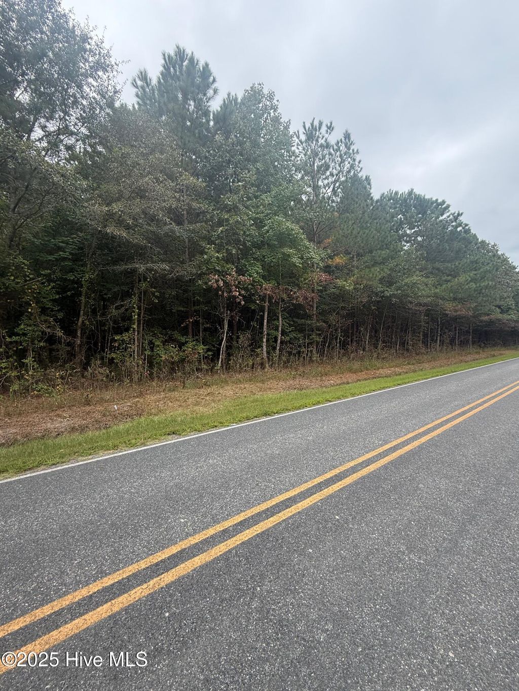 Photo of 2 Tuggie Eure Road, Eure, NC 27935 (MLS # 100556822)
