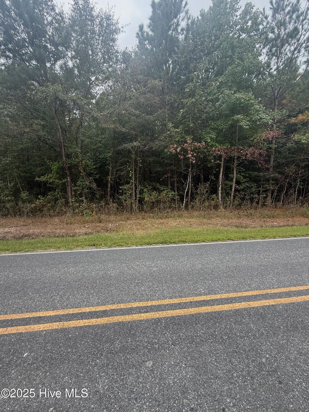 Photo of 2 Tuggie Eure Road, Eure, NC 27935 (MLS # 100556822)