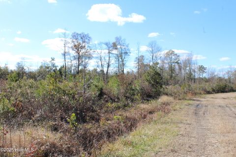 Vacant Land For Sale - LOT 1 Richlands Road<br/> Jones County, Trenton, NC 28585