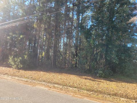 Vacant Land For Sale - 2808 Brookhaven Drive<br/> Lenoir County, Kinston, NC 28504