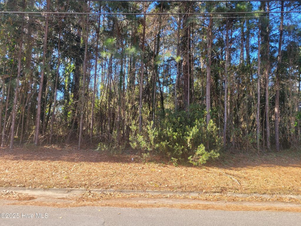 Photo of 2808 Brookhaven Drive, Kinston, NC 28504 (MLS # 100483947)