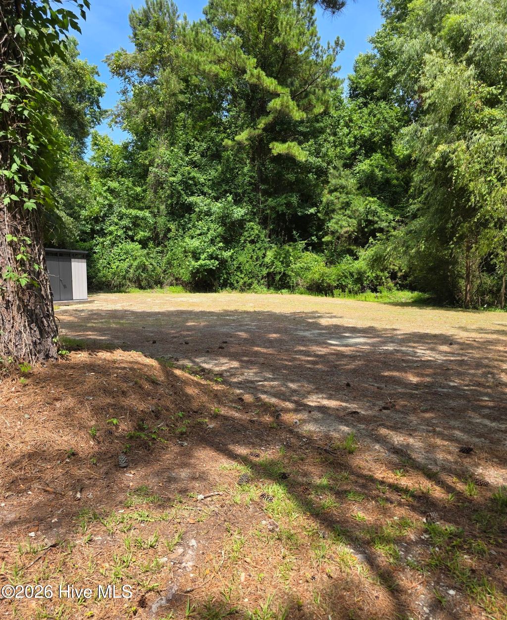 Photo of 312 Montford Lane, Jacksonville, NC 28546 (MLS # 100583575)