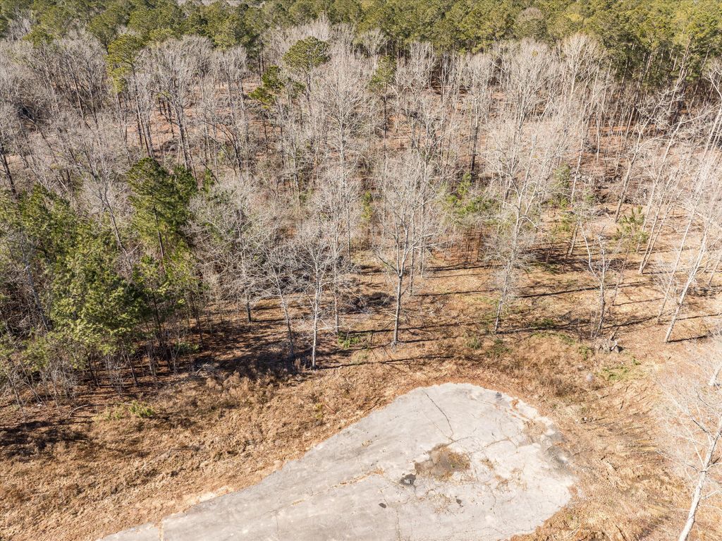 Photo of 151 Gin Branch Road, Thomson, GA 30824 (MLS # 555644)