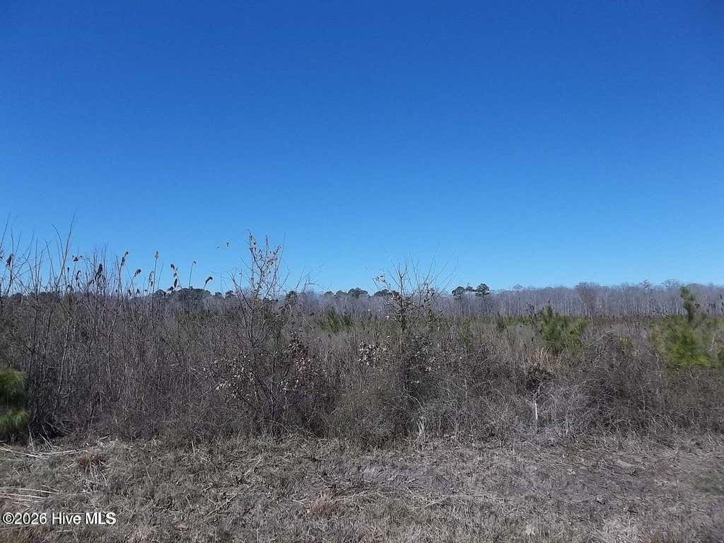 Photo of Tbd Boat Ramp Road, New Hope, NC 27944 (MLS # 100593952)
