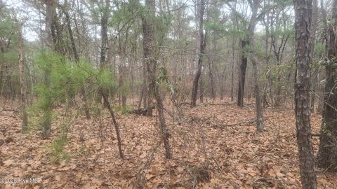 Vacant Land For Sale - TBD Union Church Road<br/> Carthage, NC 28327