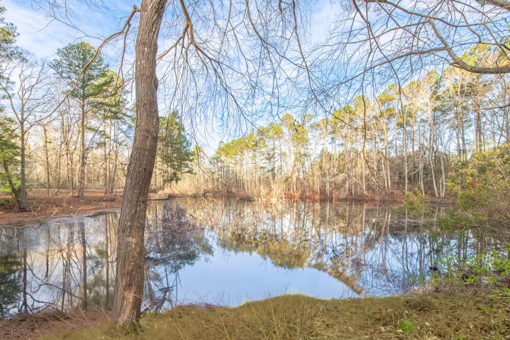 Photo of 4061 Smokey Road, Hephzibah, GA 30815 (MLS # 550453)