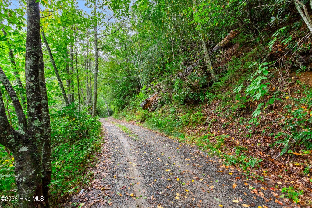 Photo of 28 Water Gauge Road, Franklin, NC 28734 (MLS # 100607746)