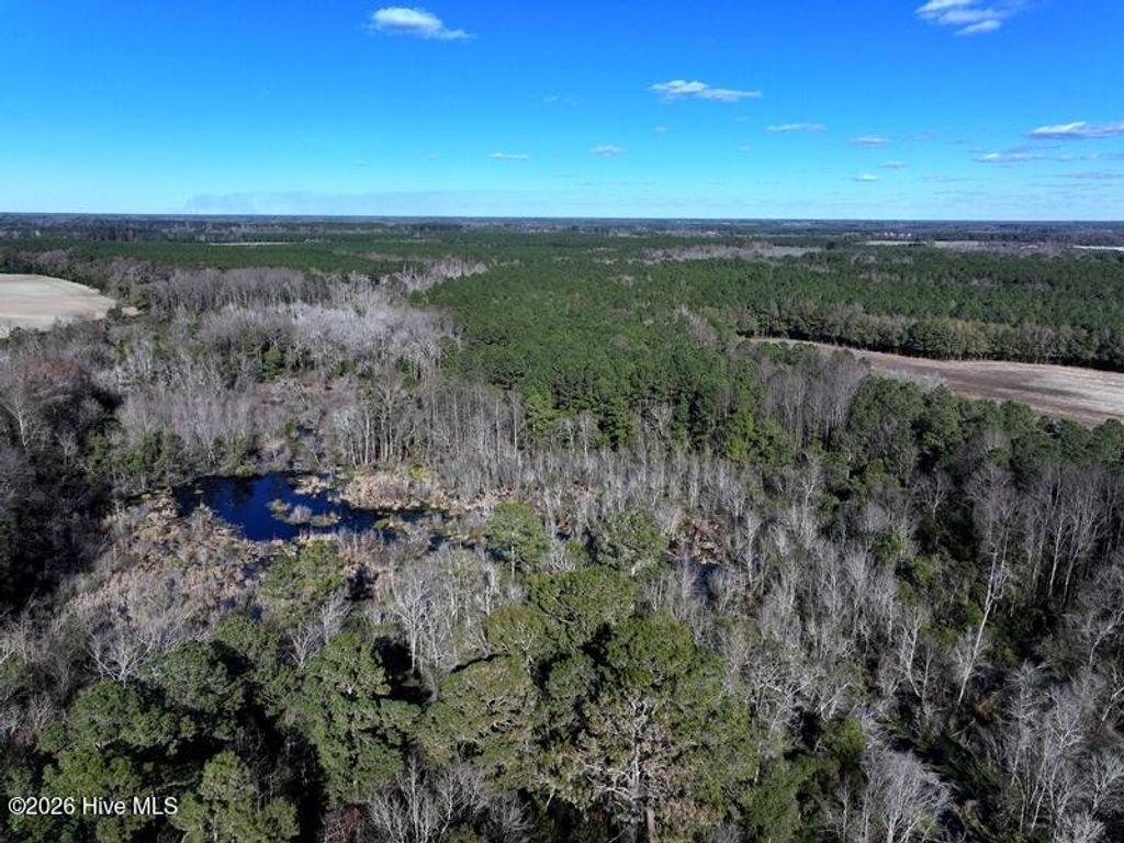 Photo of Tbd Stuarts Mill Road, Fairmont, NC 28340 (MLS # 100549903)