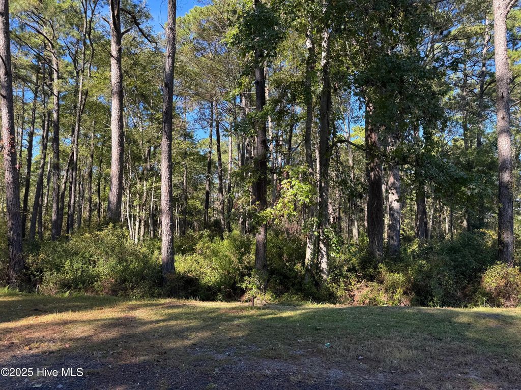 Photo of 11 Thicketwood Drive, Calabash, NC 28467 (MLS # 100537399)