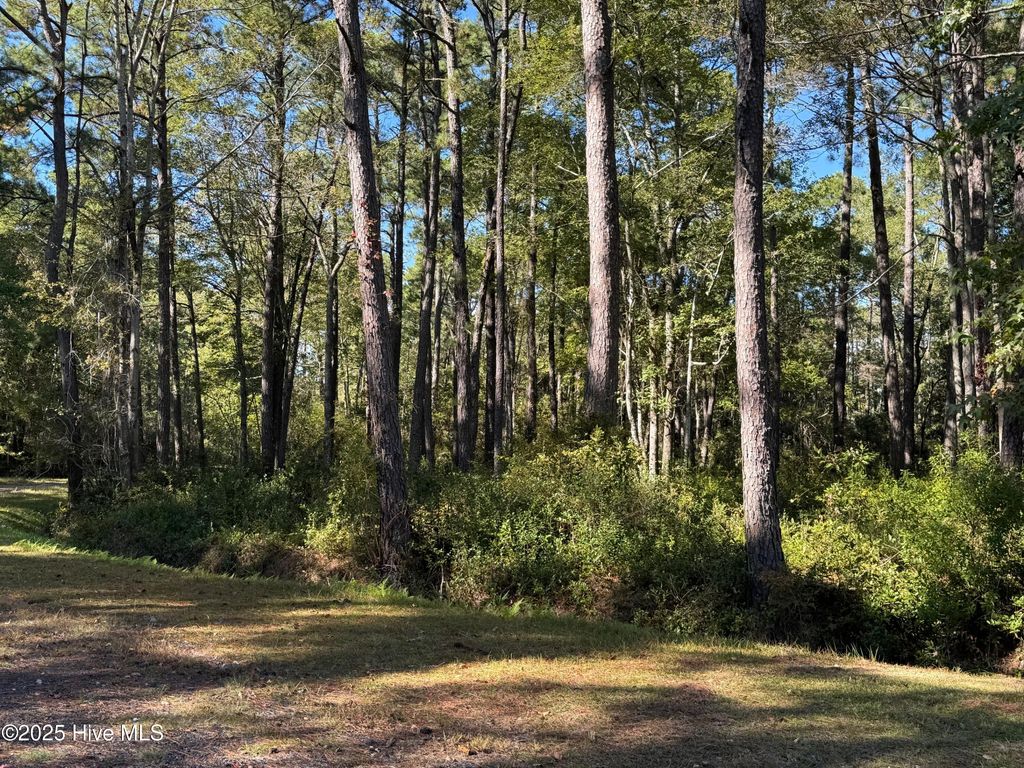 Photo of 11 Thicketwood Drive, Calabash, NC 28467 (MLS # 100537399)