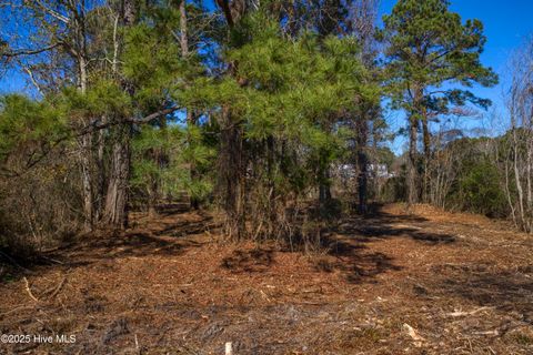 Tiny photo for 327 Chadwick Shores Drive, Sneads Ferry, NC 28460 (MLS # 100559086)