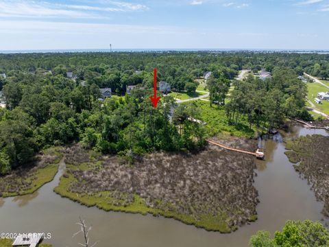 Tiny photo for 327 Chadwick Shores Drive, Sneads Ferry, NC 28460 (MLS # 100559086)