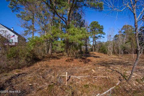 Tiny photo for 327 Chadwick Shores Drive, Sneads Ferry, NC 28460 (MLS # 100559086)