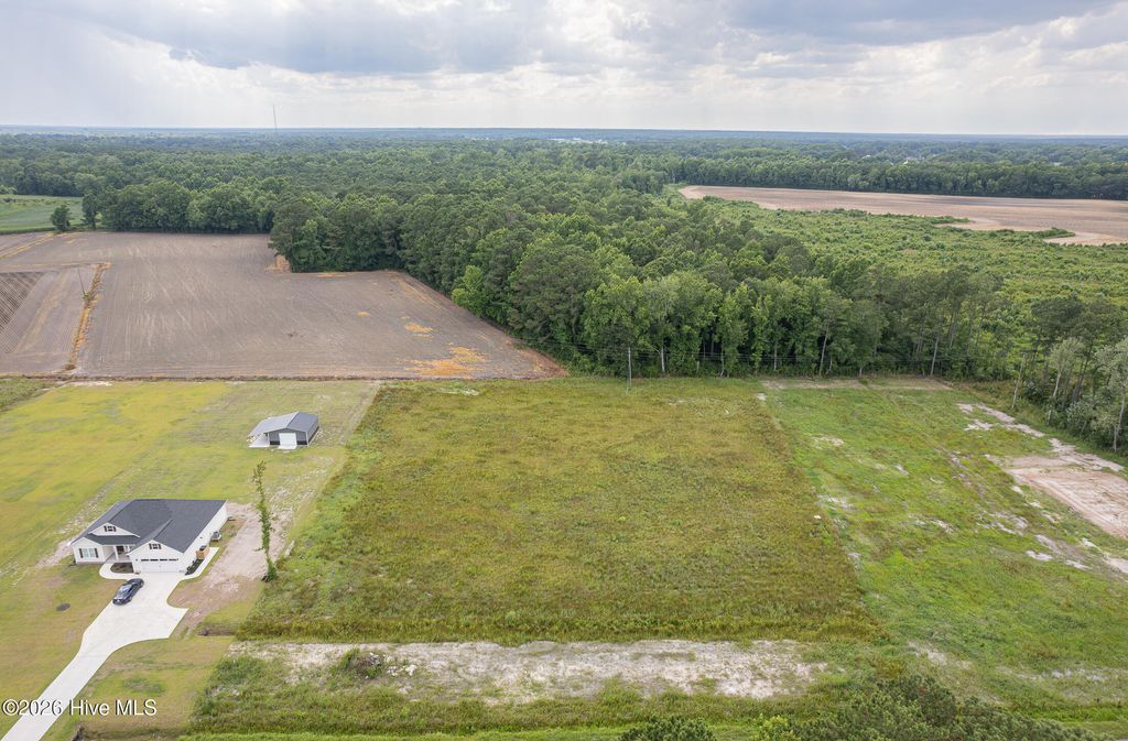 Photo of 2246 S Nc 41 &amp; 111 Highway, Beulaville, NC 28518 (MLS # 100590504)