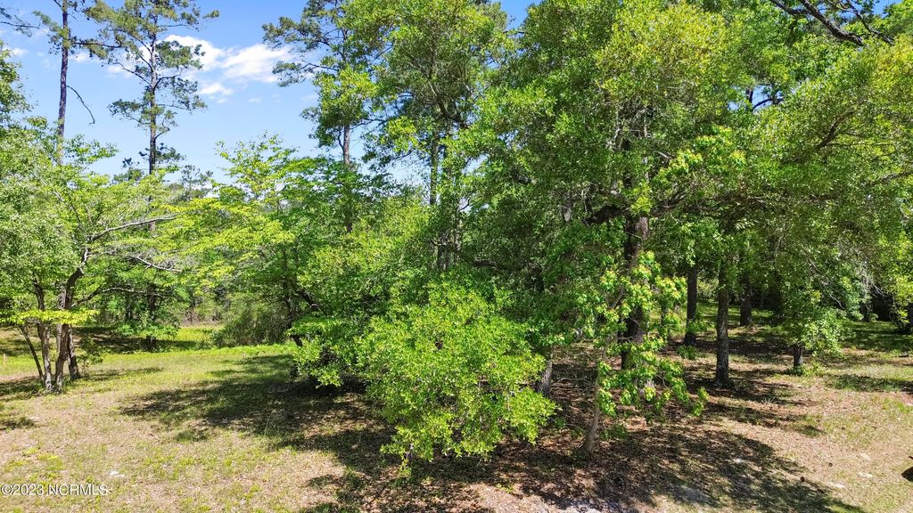 Photo of 3494 Mill Pond Road SW, Shallotte, NC 28470 (MLS # 100482289)