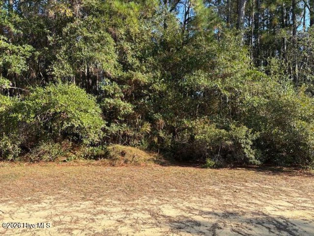 Photo of 2280 Hoffman Road SW, Supply, NC 28462 (MLS # 100550024)