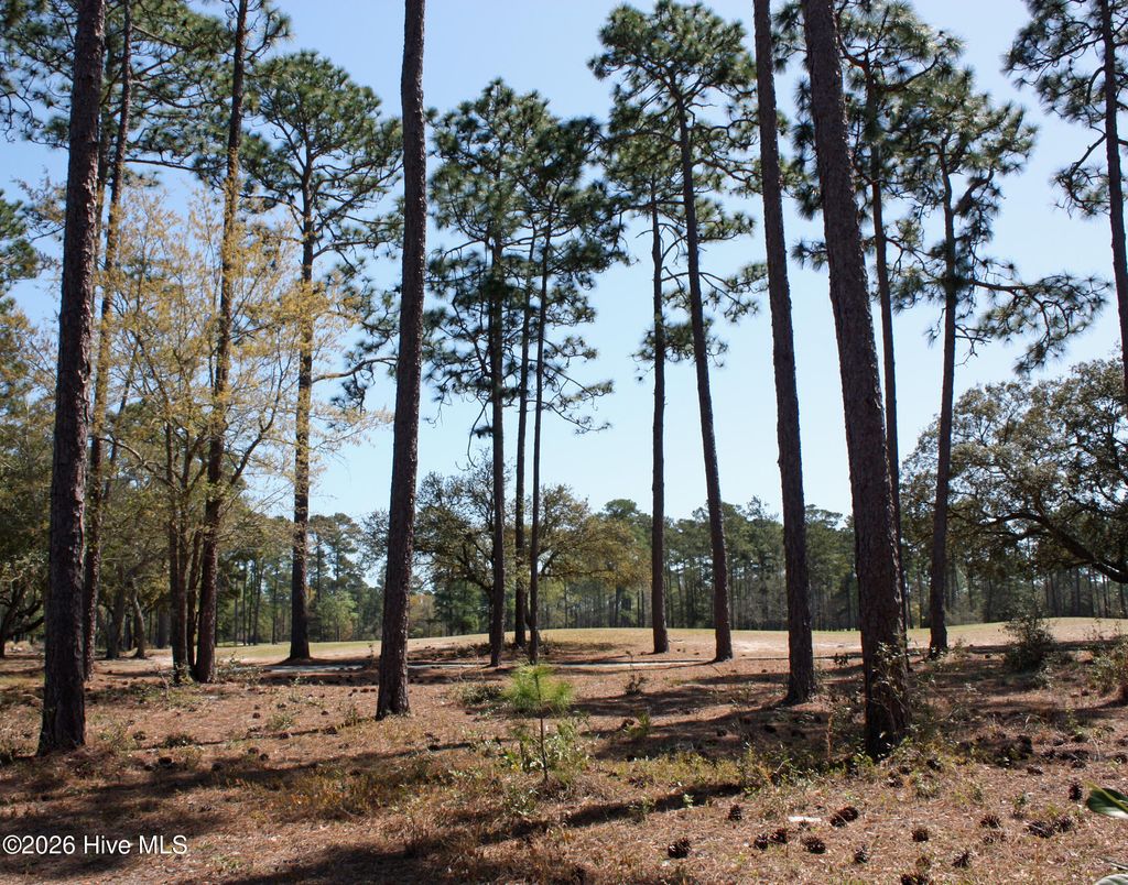 Photo of 575 Morely Circle SW, Ocean Isle Beach, NC 28469 (MLS # 100564114)