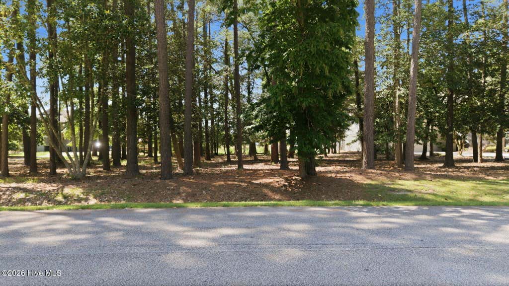 Photo of 108 Live Oak Lane, Washington, NC 27889 (MLS # 100596798)