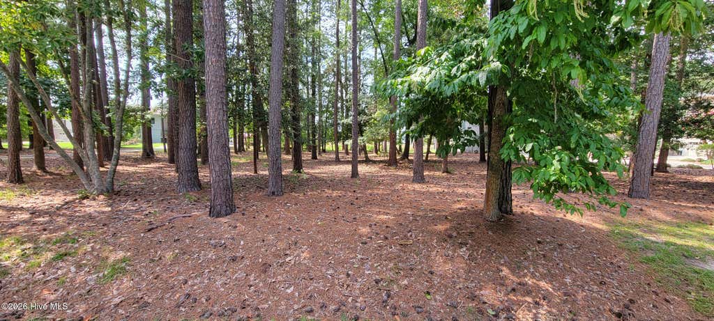 Photo of 108 Live Oak Lane, Washington, NC 27889 (MLS # 100596798)
